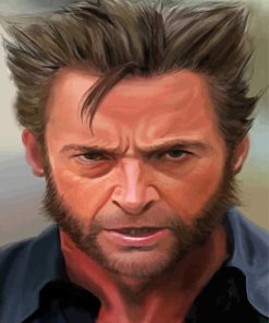 Aesthetic Wolverine Face paint by numbers