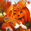 Basset Hound And Cat paint by numbers