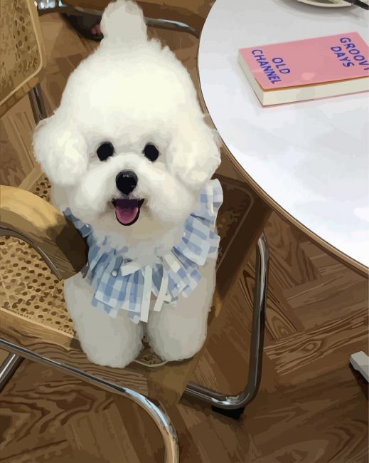 Bichon Frise With Dress paint by numbers