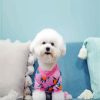 Bichon Frise Wearing Pajamas paint by numbers