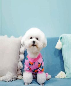 Bichon Frise Wearing Pajamas paint by numbers