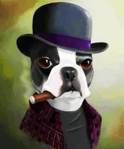 Boston Terrier With Hat paint by numbers