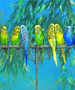 Aesthetics Budgies Birds paint by numbers