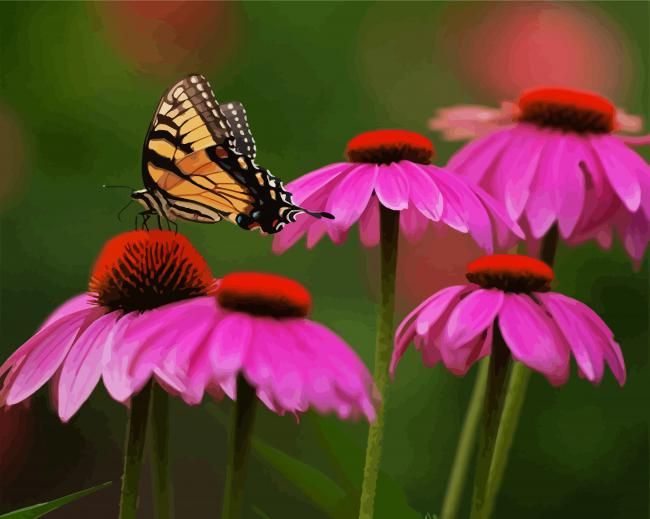 Butterfly On Coneflowers paint by numbers