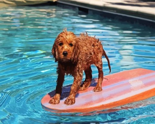 Cavapoo Swimming Pool paint by numbers
