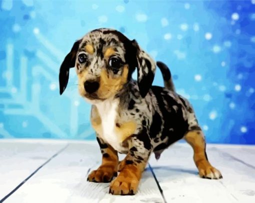 Adorable Chiweenie Puppy paint by numbers