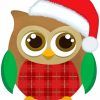 Christmas Owl paint by numbers