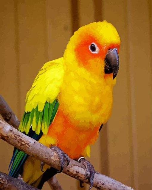 Sun Conure Bird On Branch paint by numbers