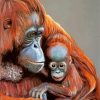 Orangutan Mother And Son paint by numbers