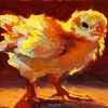 Cute Chick Bird paint by numbers