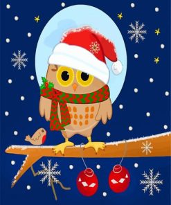 Christmas Owl Bird paint by numbers