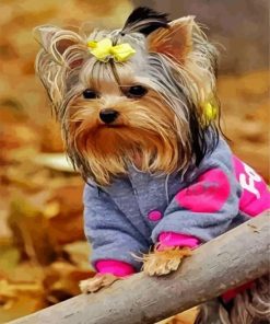 Wonderful Yorkie Puppy paint by numbers