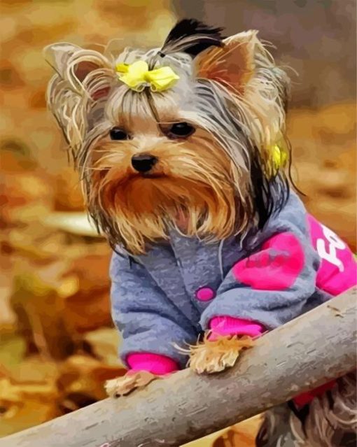 Wonderful Yorkie Puppy paint by numbers