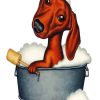 Dachshund In Bath paint by numbers
