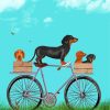 Dachshund On Bicycle paint by numbers