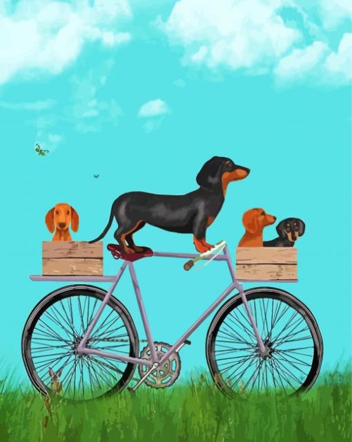 Dachshund On Bicycle paint by numbers
