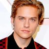 Dylan Sprouse Actor paint by numbers