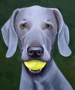 Weimaraner Dog With Tennis Ball paint by numbers