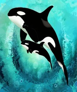 Killer Whales paint by numbers
