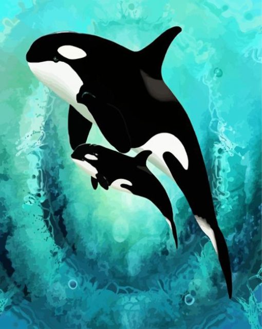 Killer Whales paint by numbers