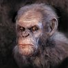 Planet Of The Apes Character paint by numbers