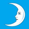 La Luna Loteria Card paint by numbers