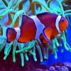 Clownfish Underwater paint by numbers