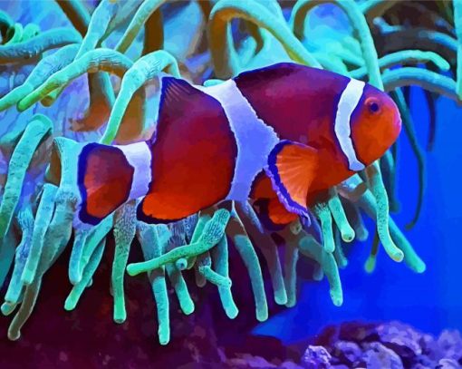 Clownfish Underwater paint by numbers