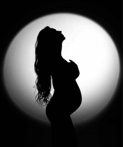 Pregnant Lady Silhouette paint by numbers