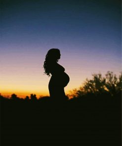 Pregnant Woman Silhouette paint by numbers