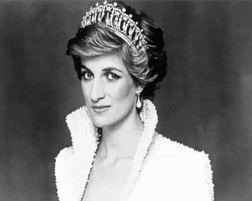 Black And White Princess Diana paint by numbers
