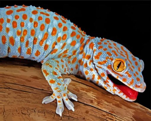 Aesthetic Tokay Gecko paint by numbers