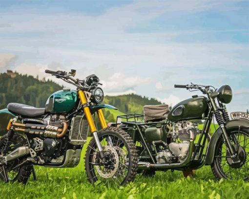 Triumph Motorcycles On Grass paint by numbers