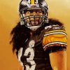 Troy Polamalu Steelers paint by numbers