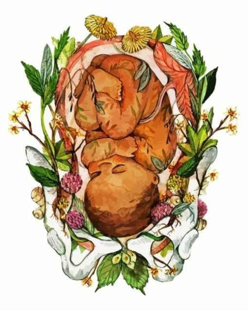 Unborn Baby Illustration paint by numbers