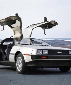Cool Delorean DMC Car paint by numbers