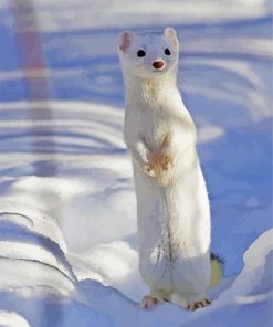 White Weasel paint by numbers