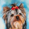Yorkie Puppy Art paint by numbers