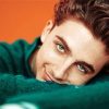 Handsome Timothée Chalamet paint by numbers