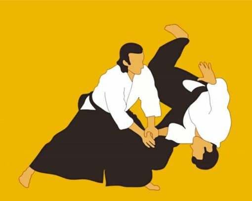 Aikido Sport paint by numbers