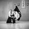 Black And White Aikido Techniques paint by numbers