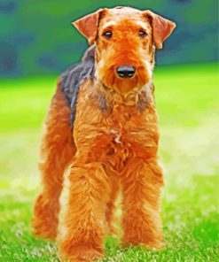 Wonderful Airedale Terrier paint by numbers