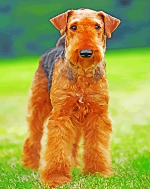 Wonderful Airedale Terrier paint by numbers