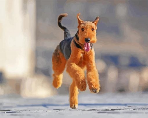Airedale Terrier Running paint by numbers