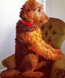 Airedale Terrier Sitting paint by numbers