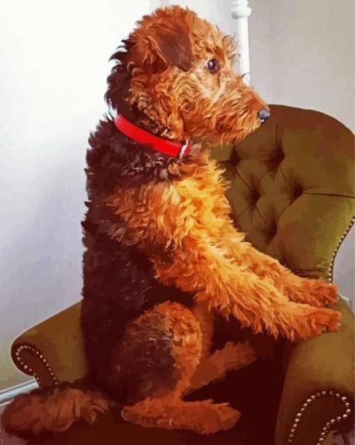 Airedale Terrier Sitting paint by numbers