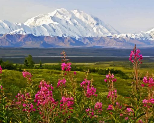 Denali Mountain paint by numbers