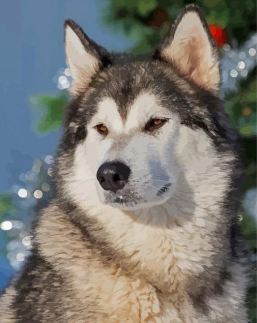 Adorable Alaskan Malamute paint by numbers