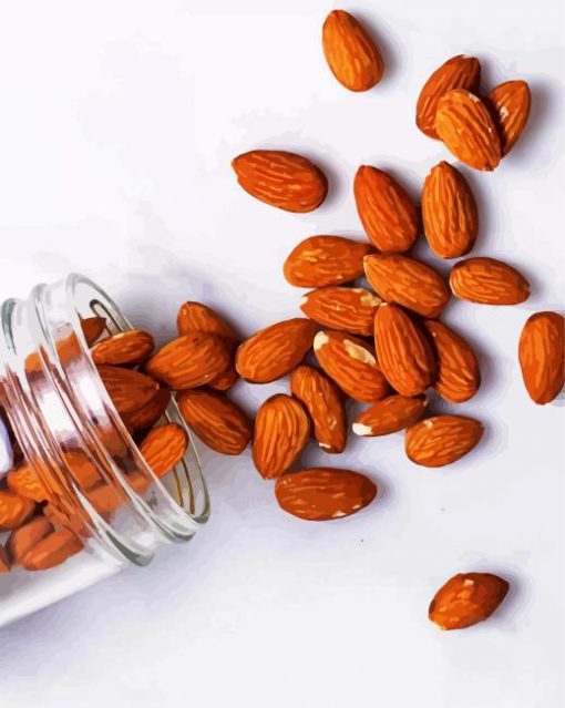 Almonds In Jar paint by numbers