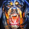 Angry Rottweiler Dog paint by numbers